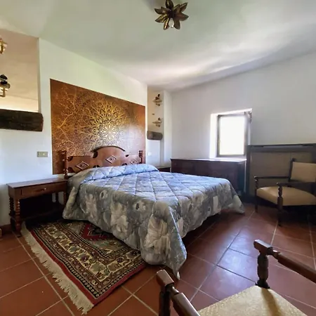 Collis Petri Relais